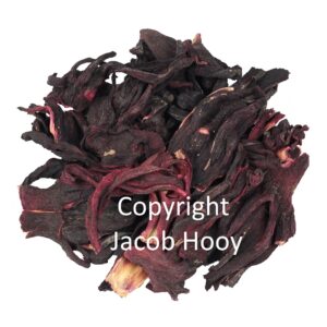 Hibiscus heel